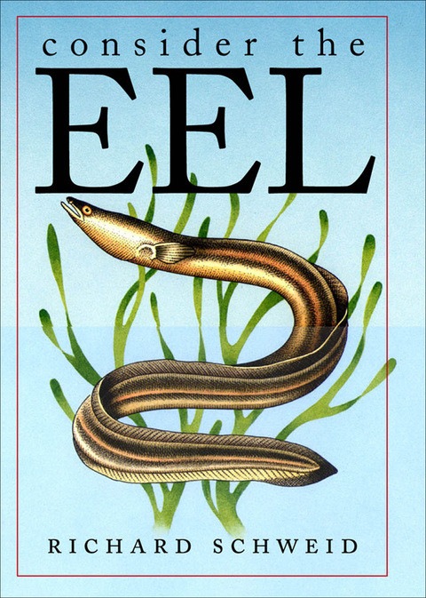 Consider The Eel Richard Schweid