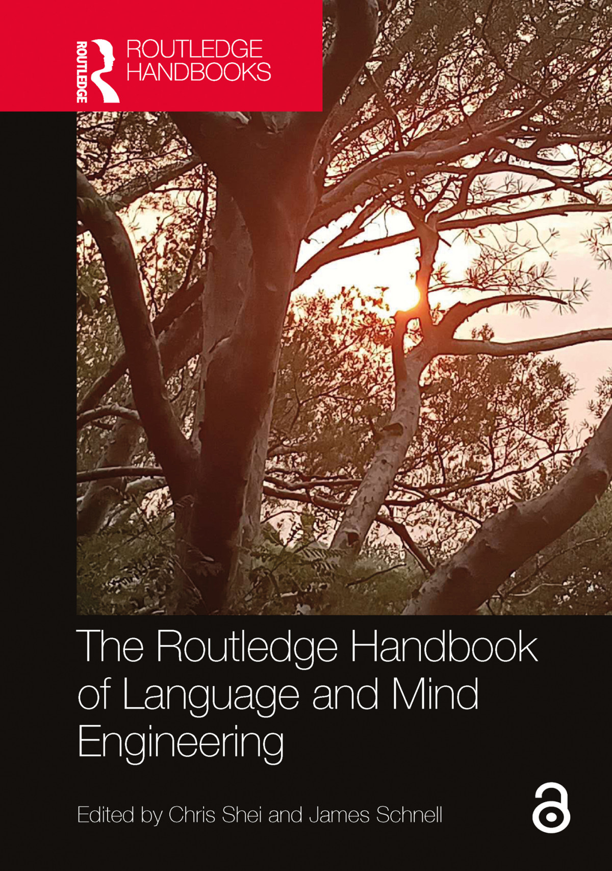 The Routledge Handbook Of Language And Mind Engineering Unknown