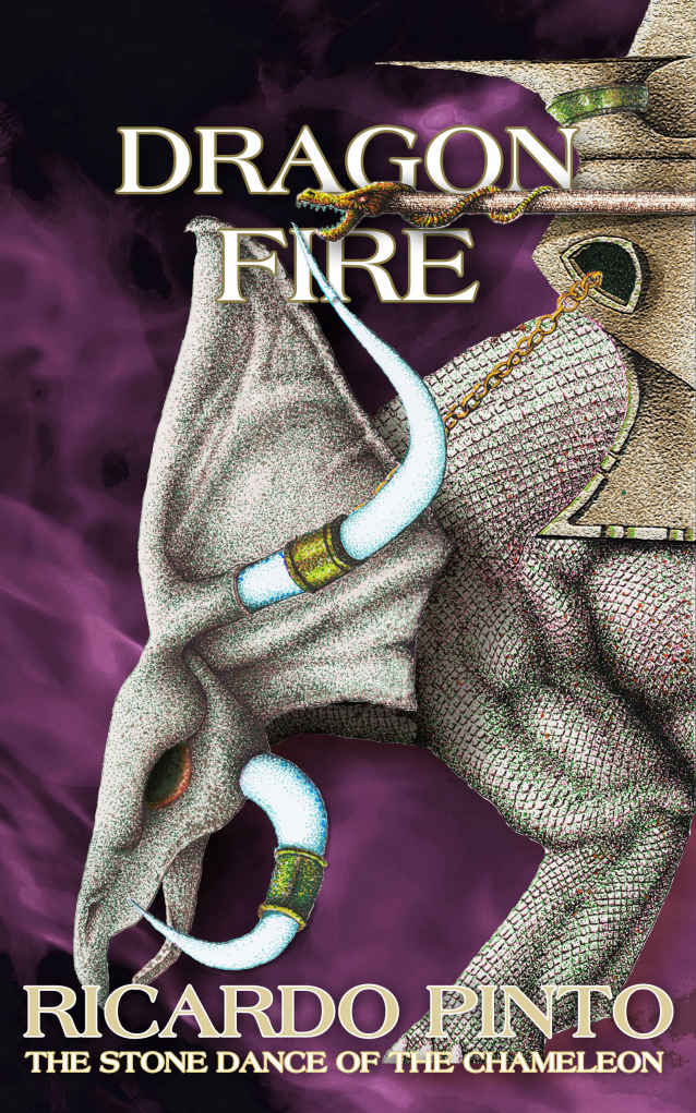 Dragon Fire The Stone Dance Of The Chameleon Book 5 Ricardo Pinto
