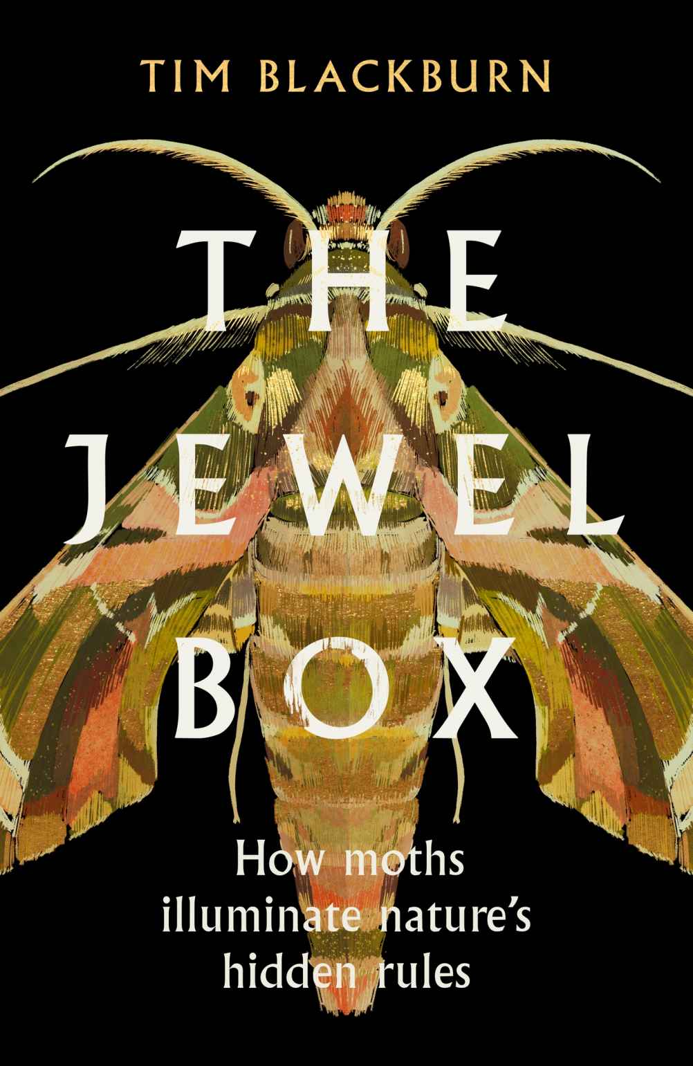 The Jewel Box How Moths Illuminate Natures Hidden Rules Tim Blackburn