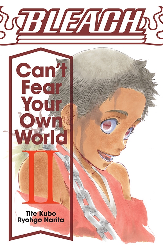 Bleach Cant Fear Your Own World Vol 2 Ryohgo Narita Tite Kubo