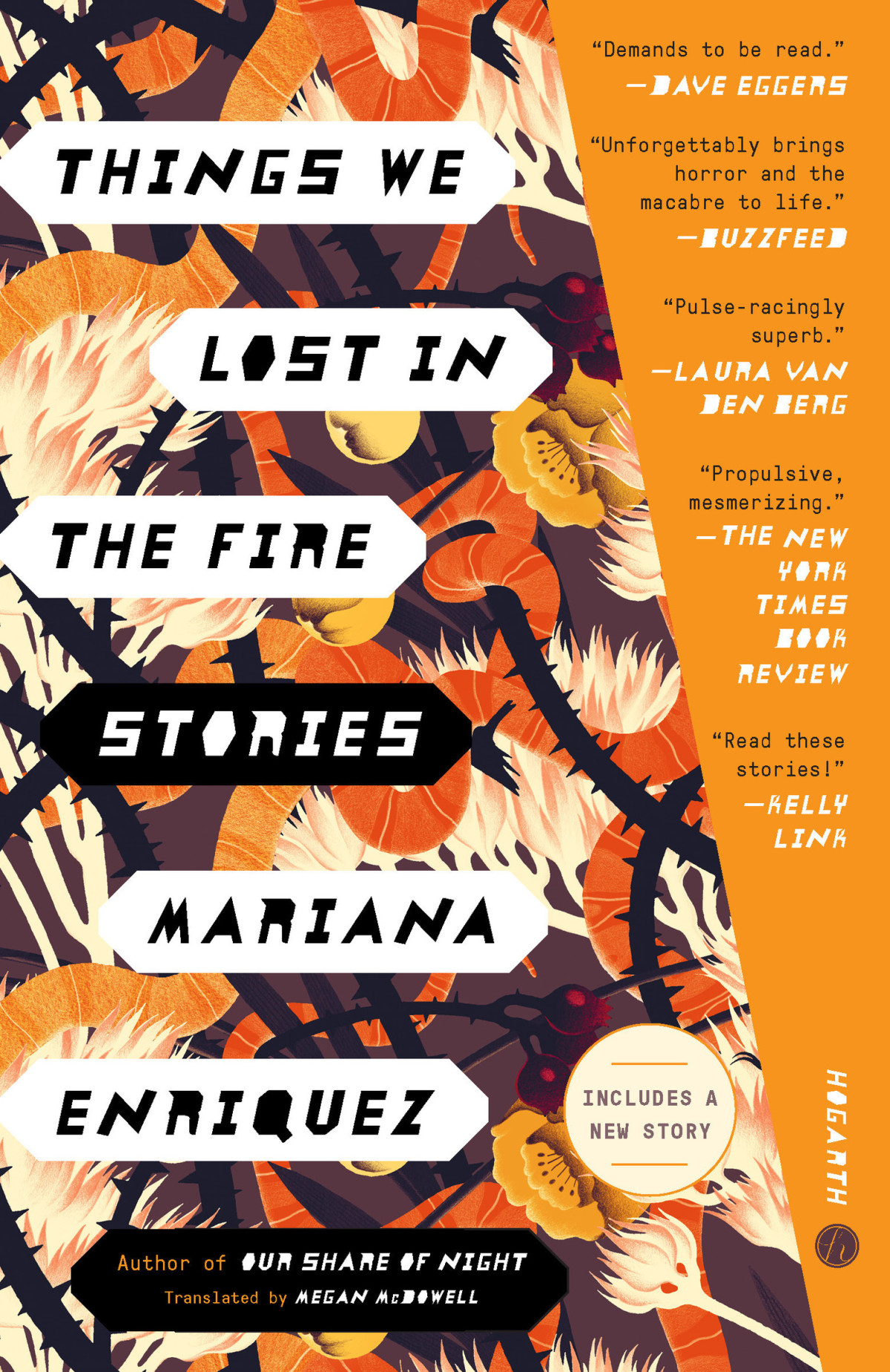 Things We Lost In The Fire Stories Mariana Enriquez