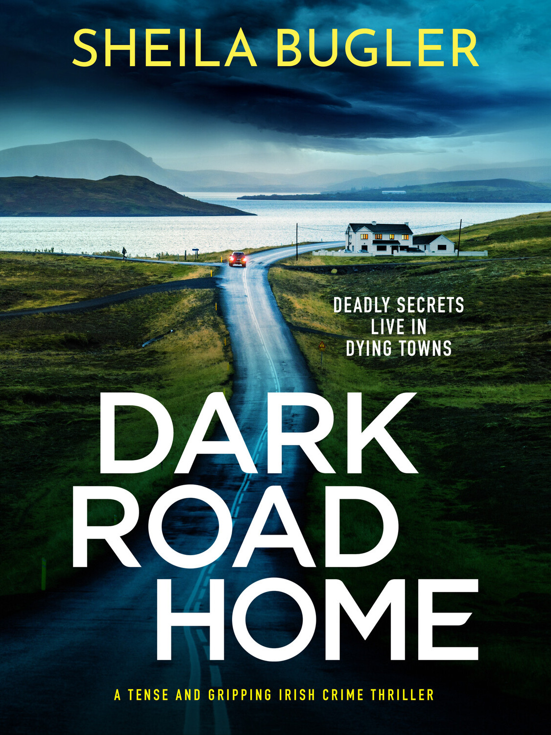 Dark Road Home Sheila Bugler