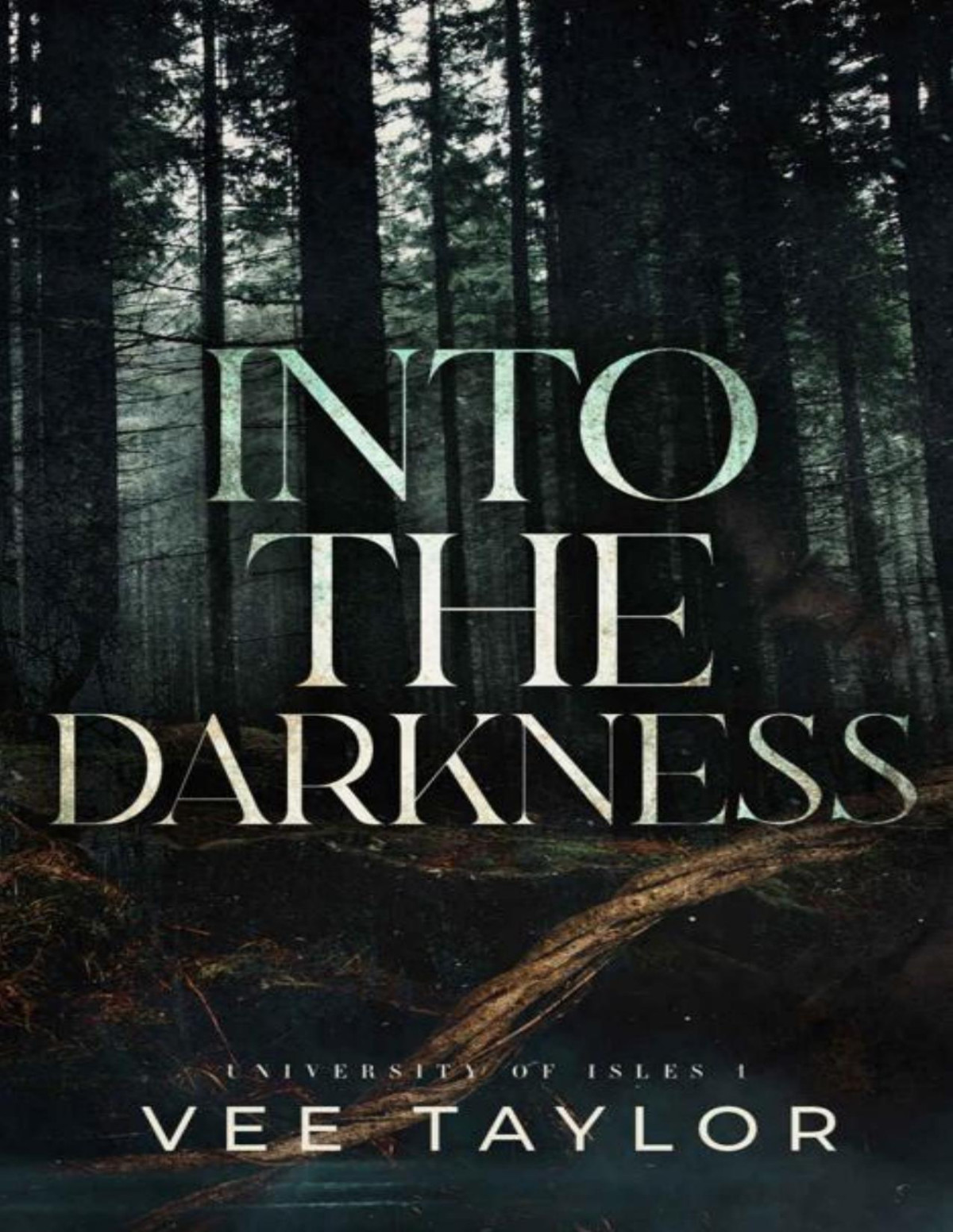 Into The Darkness Vee Taylor