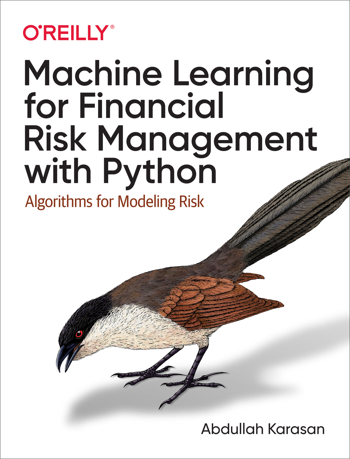 Machine Learning For Financial Risk Management With Python Abdullah Karasan