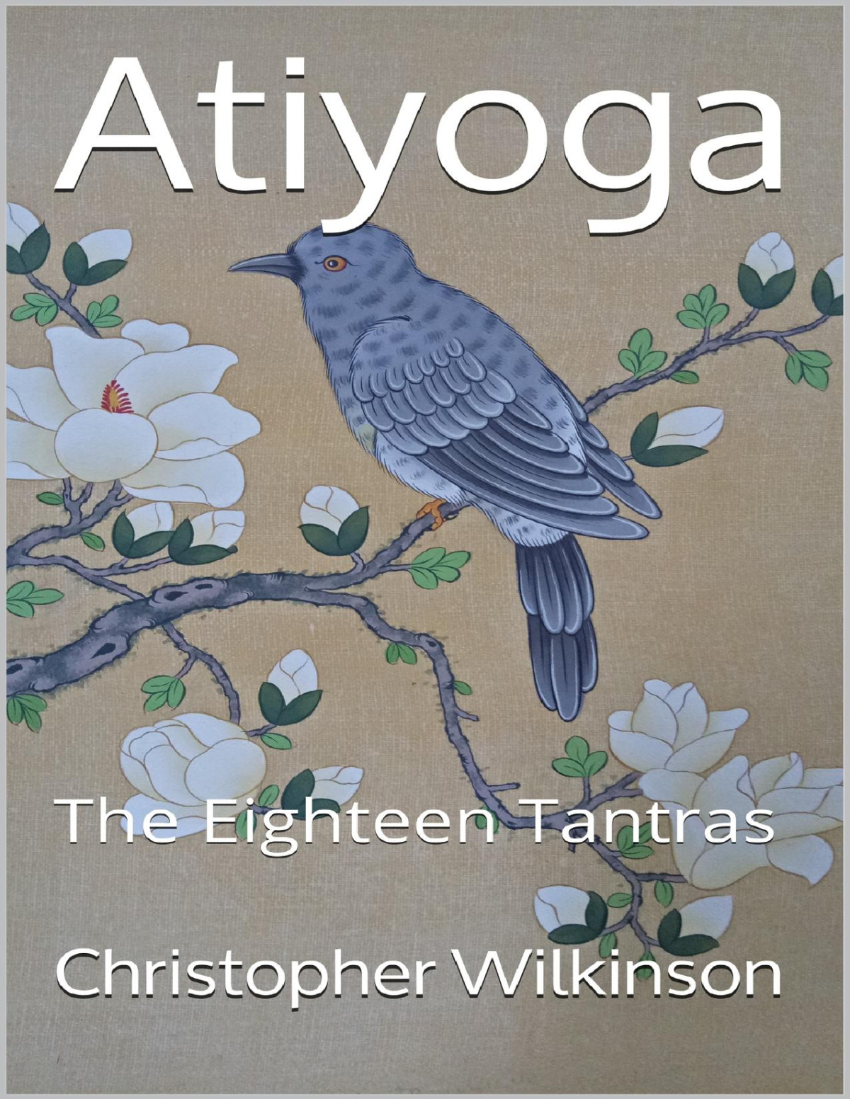 Atiyoga The Eighteen Tantras Christopher Wilkinson