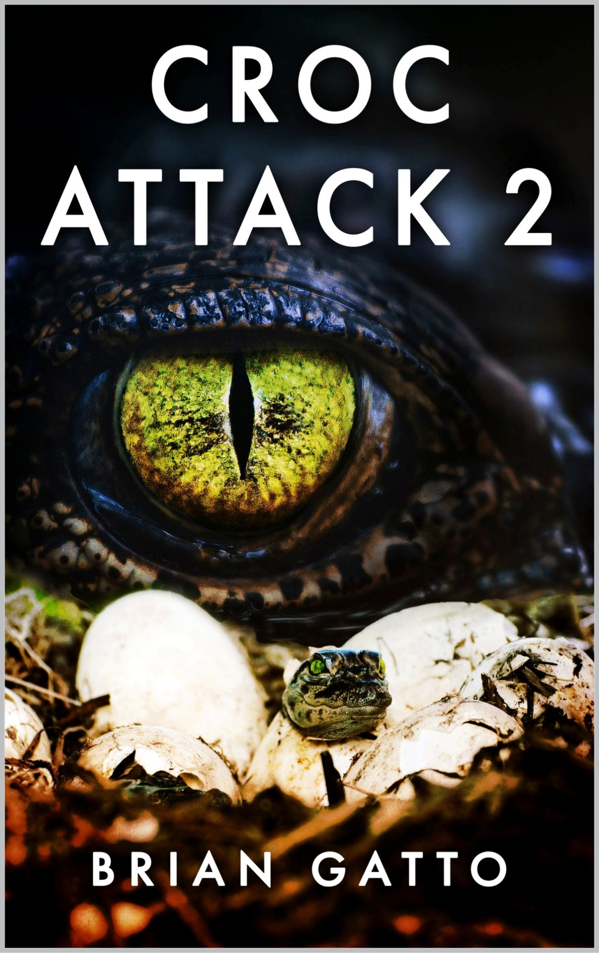 Croc Attack 2 Brian Gatto