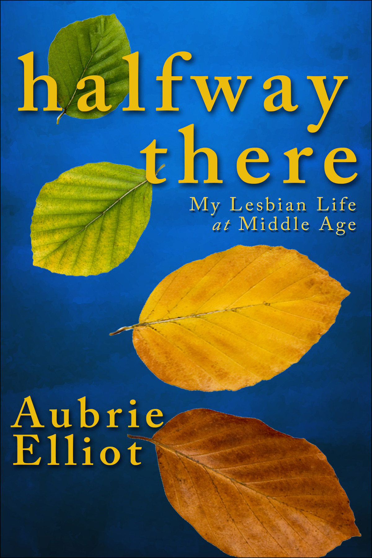 Halfway There Aubrie Elliot