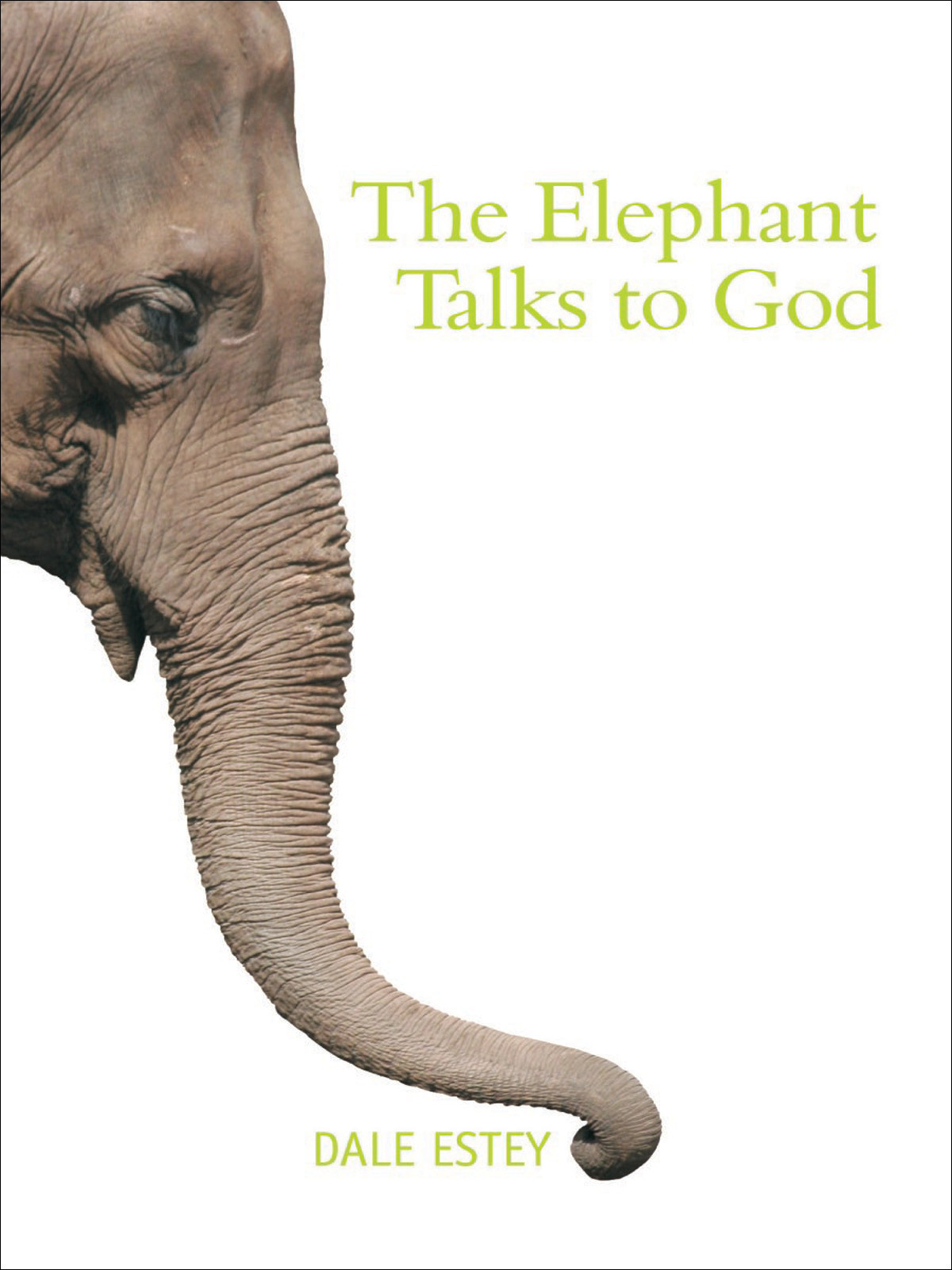 Elephant Talks To God Dale Estey