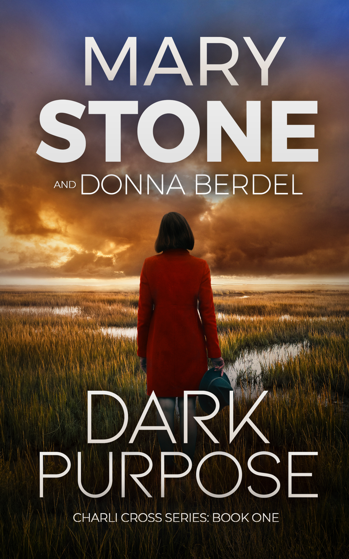 Dark Purpose Charli Cross Mystery Series Book 1 Stone Mary