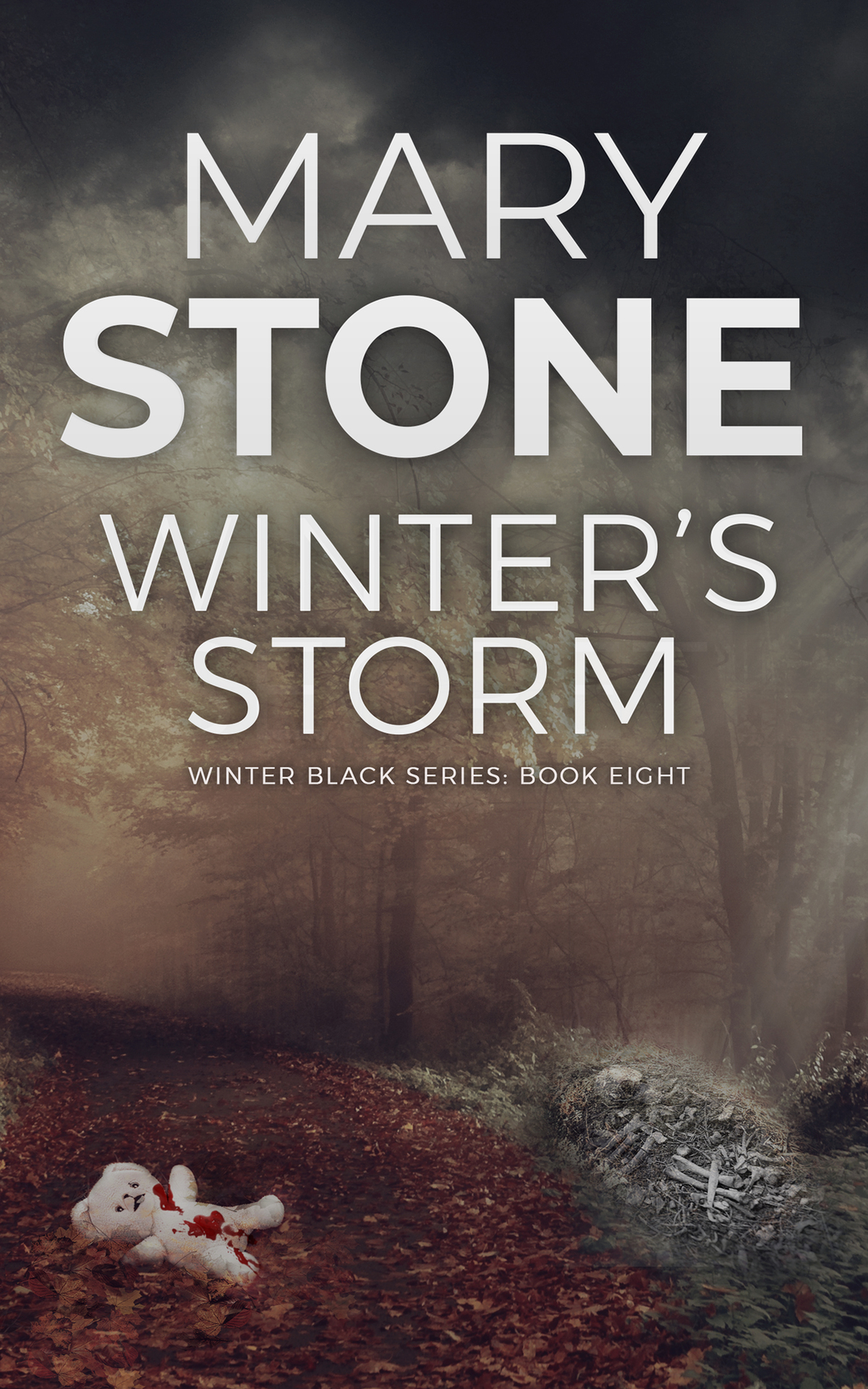 Winters Storm Winter Black Fbi Mystery Series Mary Stone