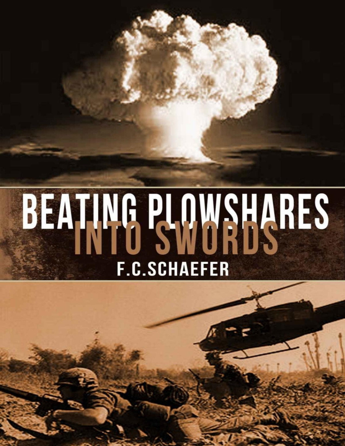 Beating Plowshares Into Swords An Alternate History Of The Vietnam War F C Schaefer