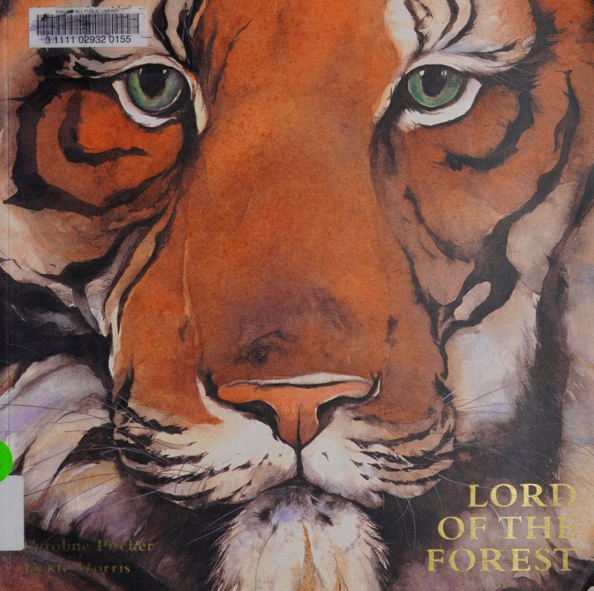 Lord Of The Forest New Edition Caroline Pitcher Jackie Morris