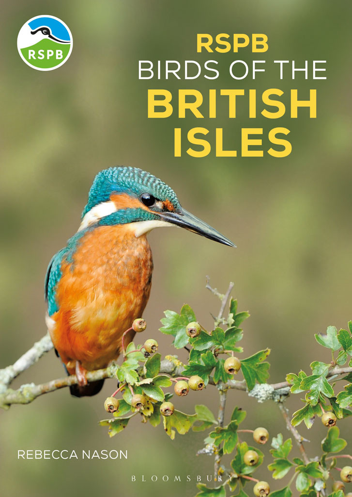 Rspb Birds Of The British Isles Rebecca Nason
