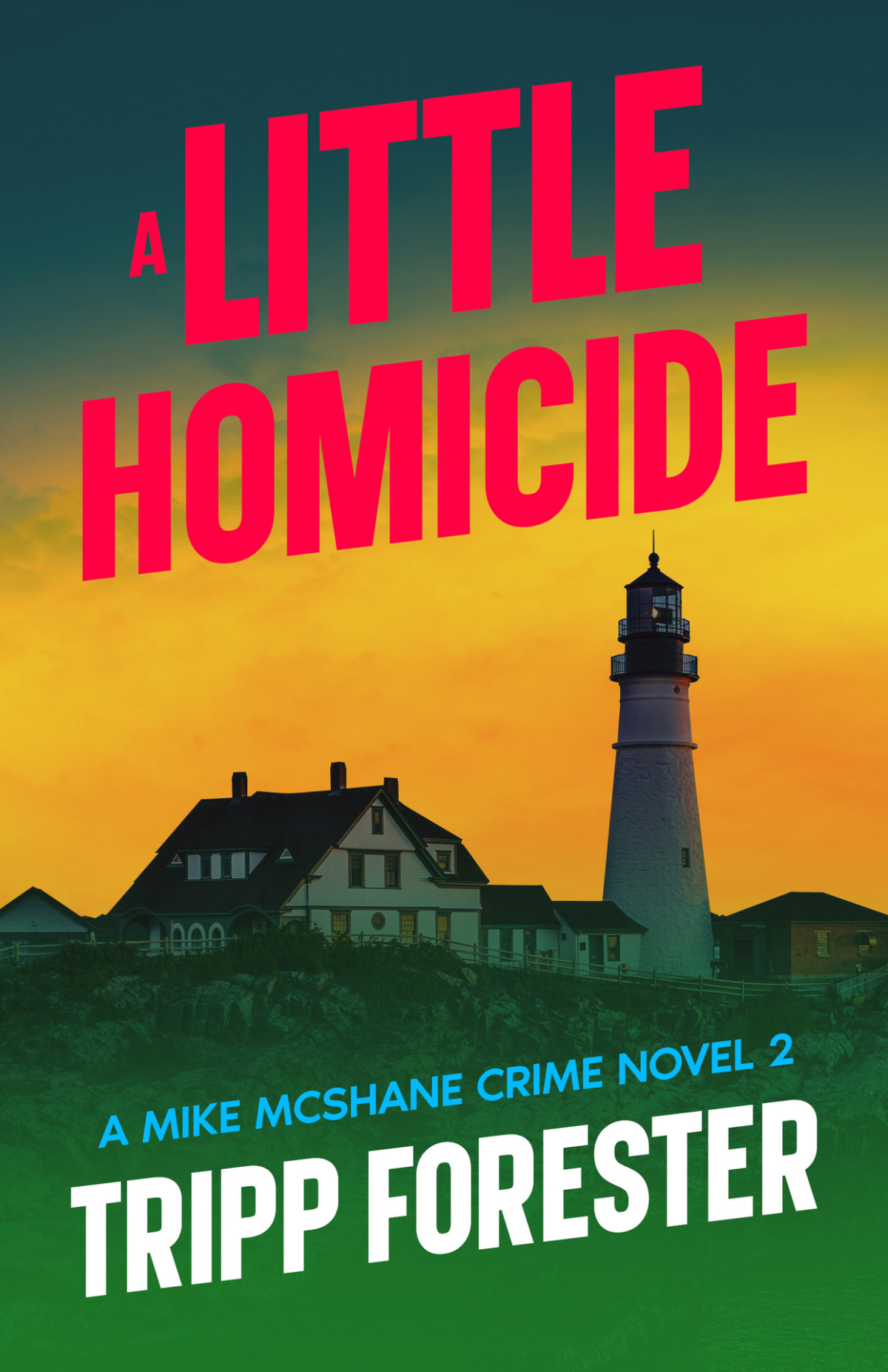 A Little Homicide Mike Mcshane Mystery Series Book 2 Tripp Forester