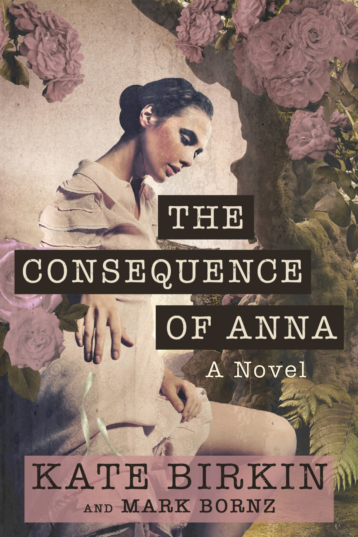 The Consequence Of Anna A Heartbreaking Historical Family Saga Of Love Friendship Obsession And Madness Kate Birkin Mark Bornz