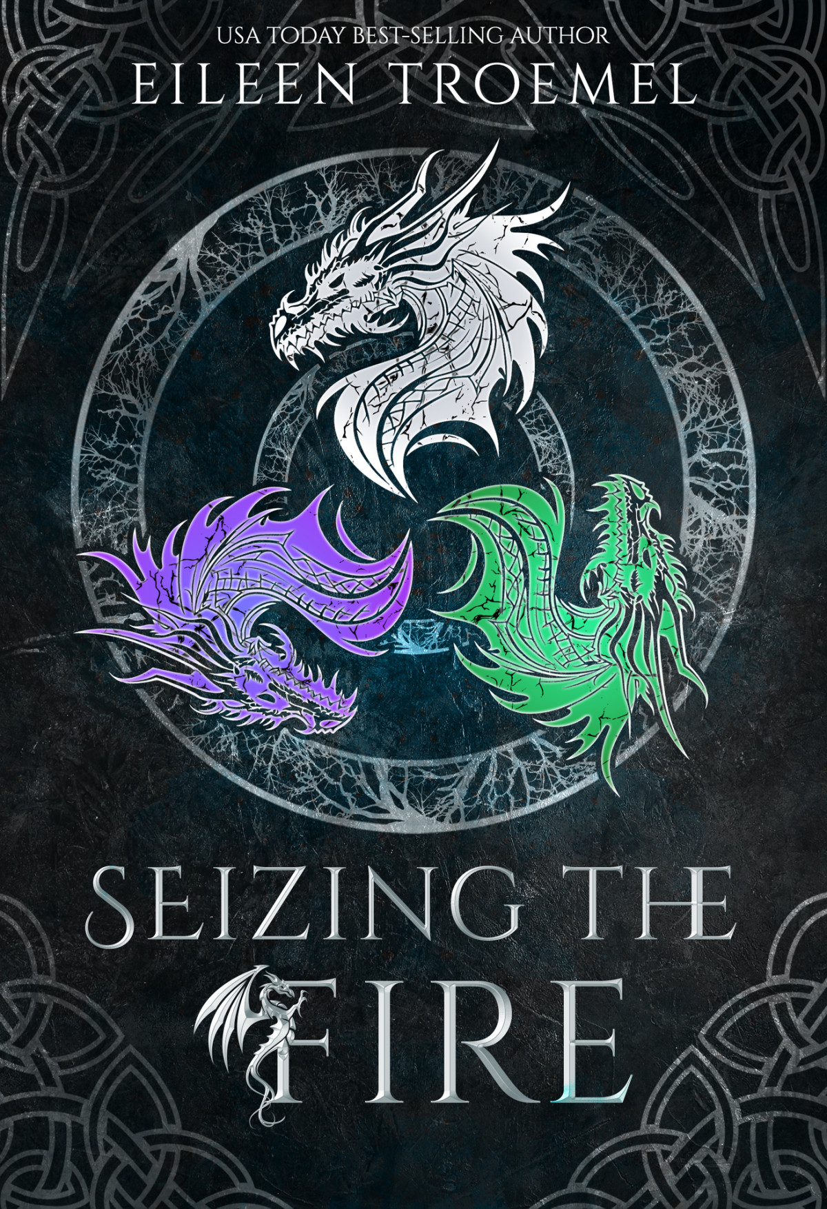Seizing The Fire Eileen Troemel