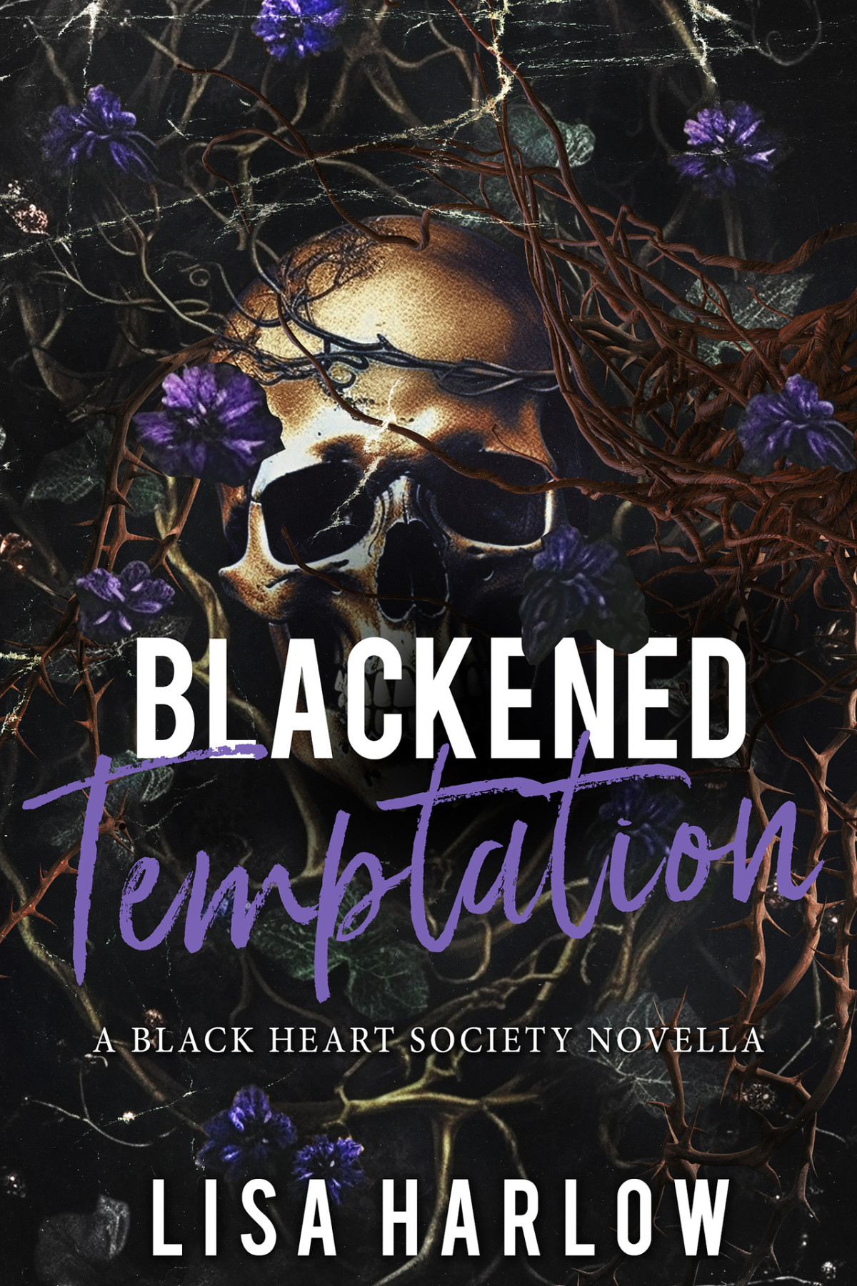 Blackened Temptation A Black Heart Society Novella Lisa Harlow