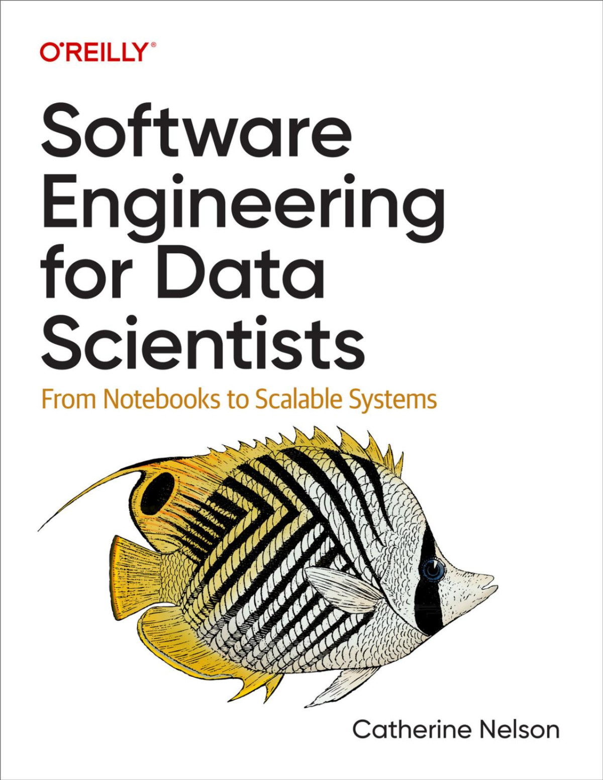 Software Engineering For Data Scientists 1 Converted Catherine Nelson