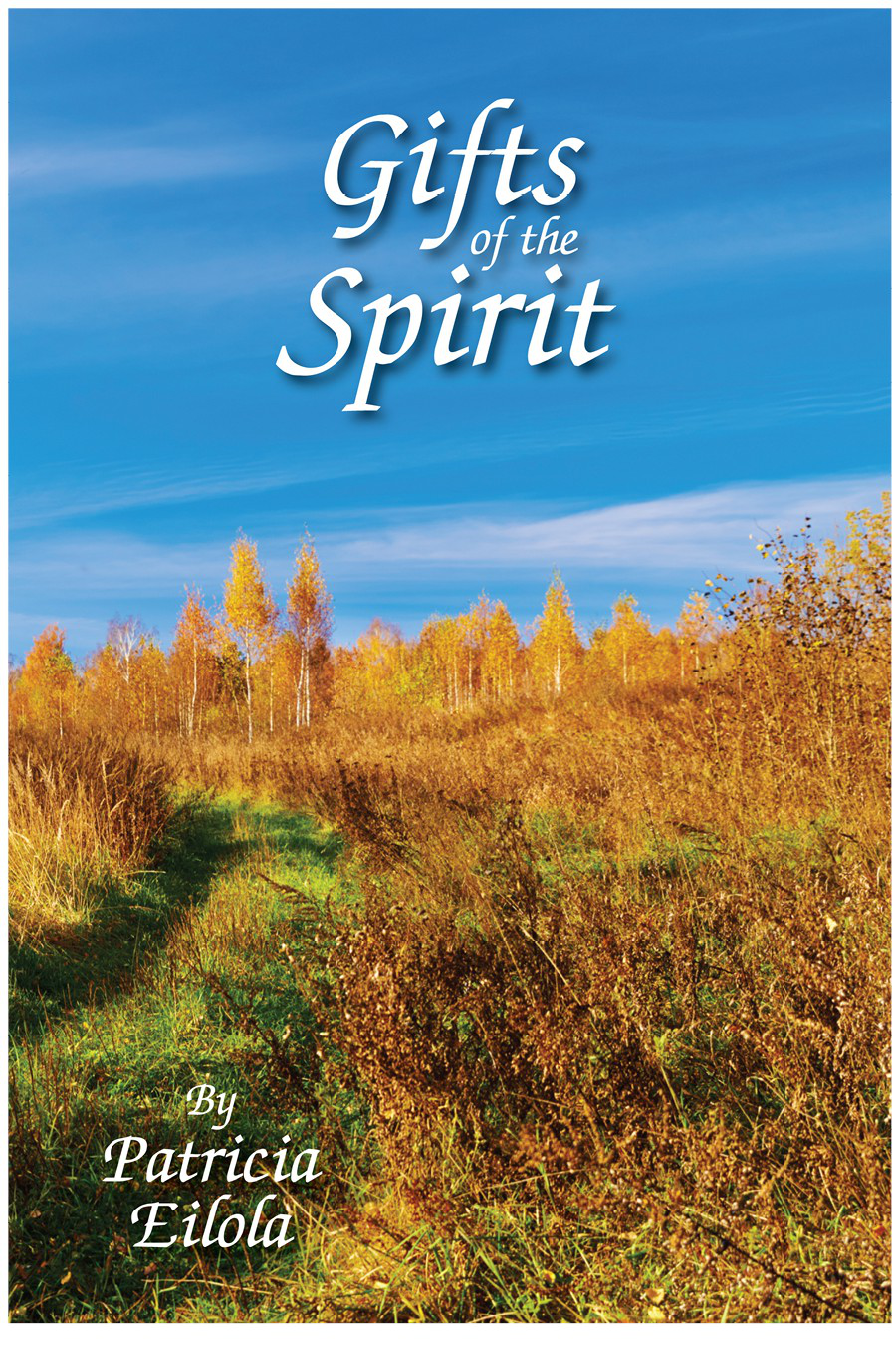 Gifts Of The Spirit Patricia Eilola