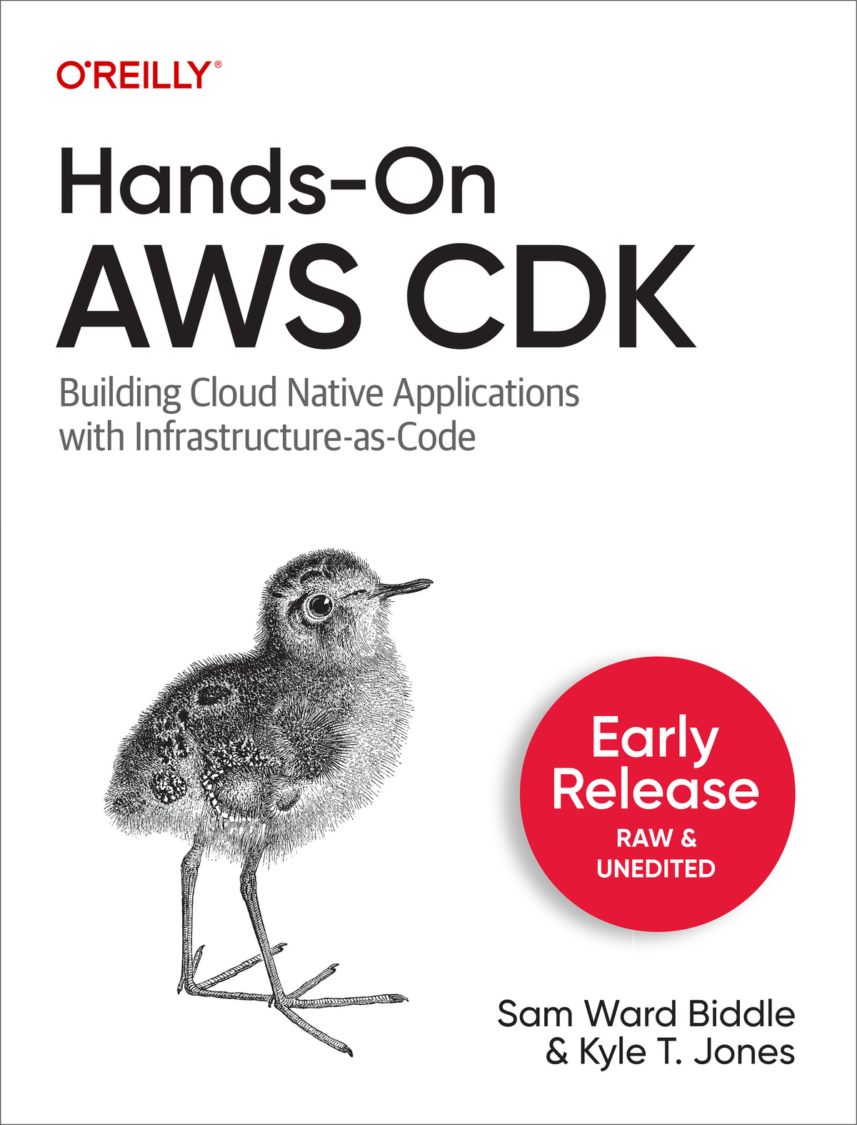 Handson Aws Cdk For Jack Nick Sam Ward Biddle And Kyle T Jones