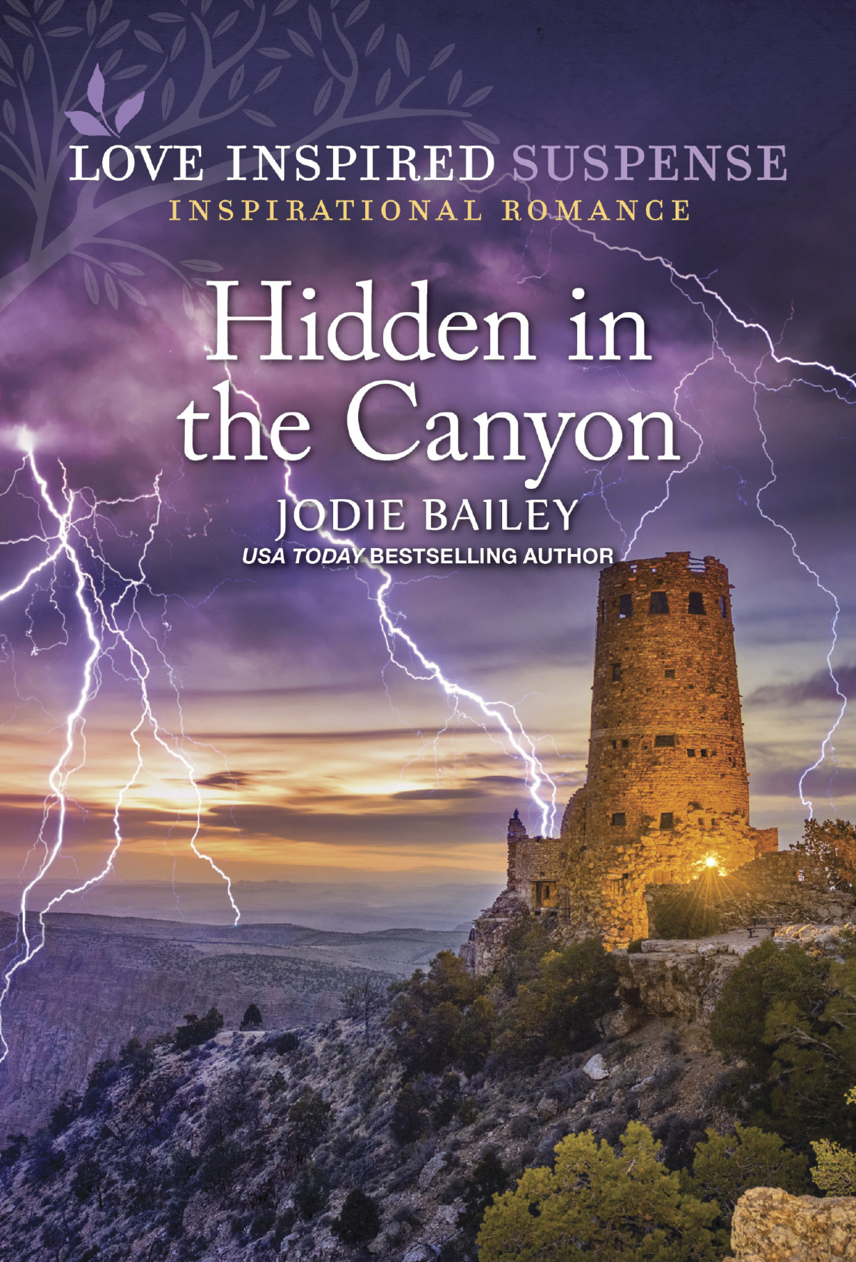 Hidden In The Canyon Jodie Bailey