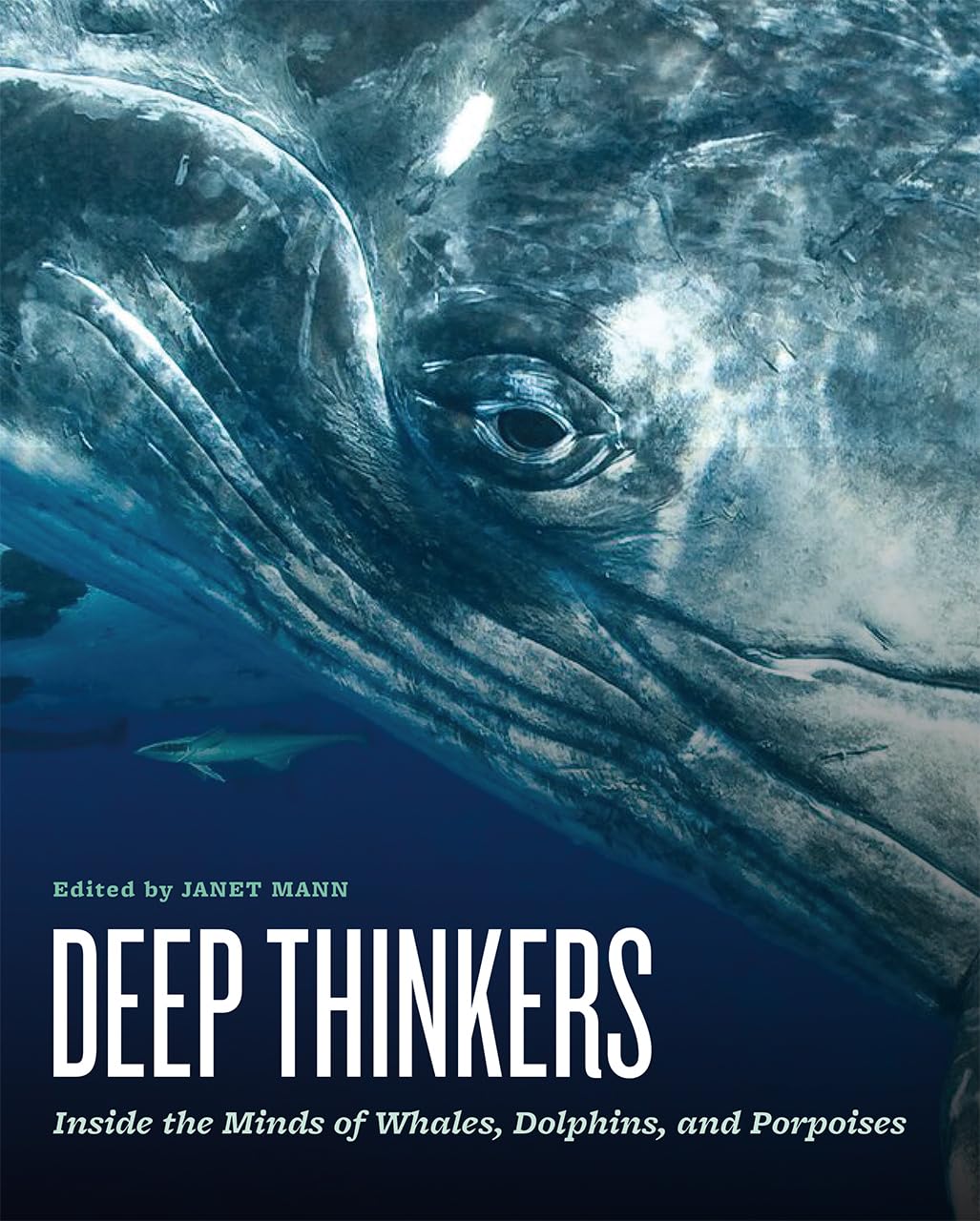 Deep Thinkers Janet Mann