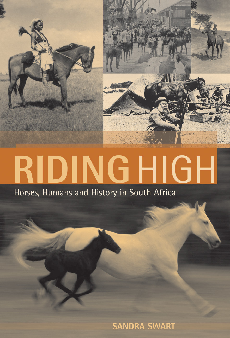 Riding High Sandra Swart