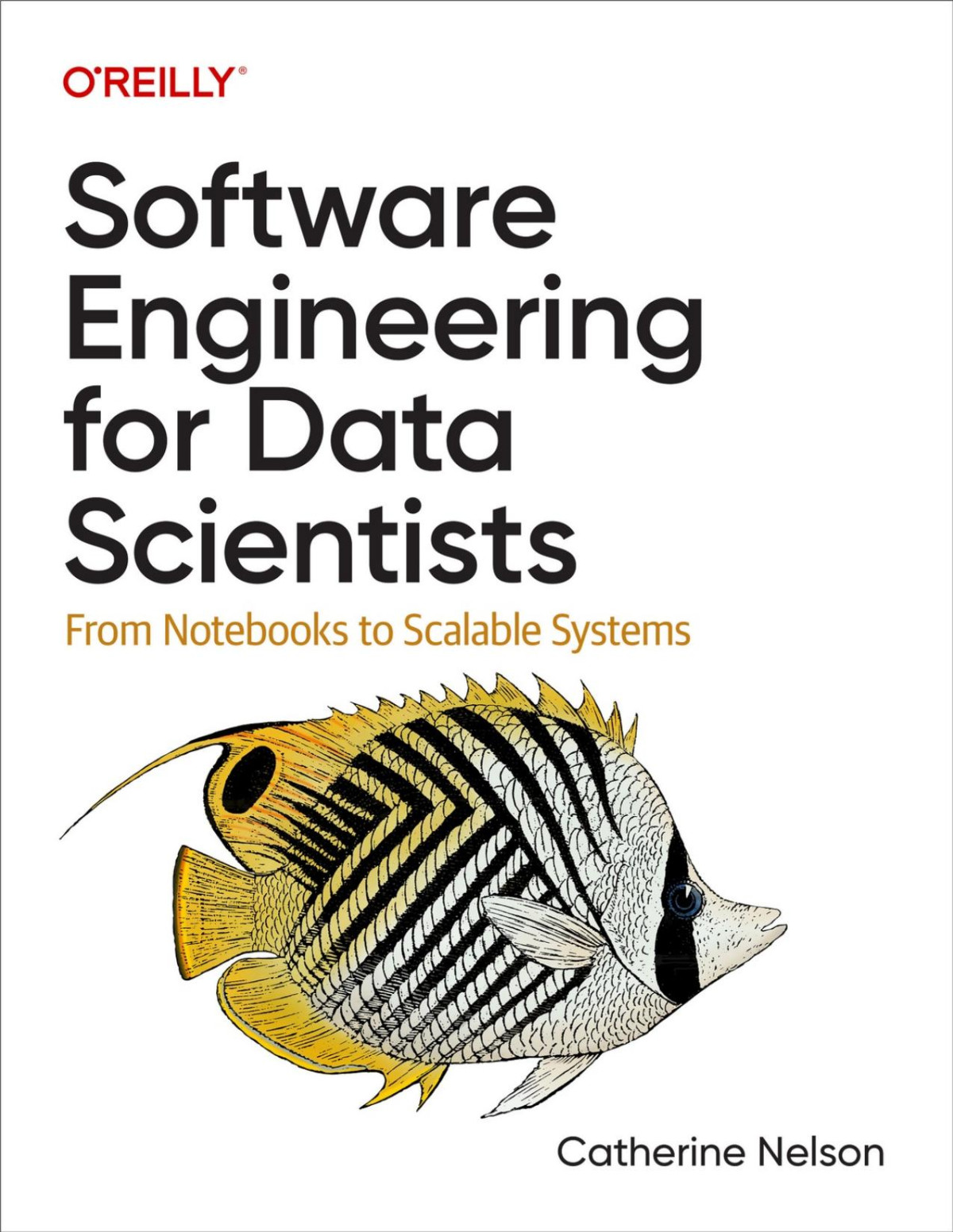 Software Engineering For Data Scientists Converted Catherine Nelson