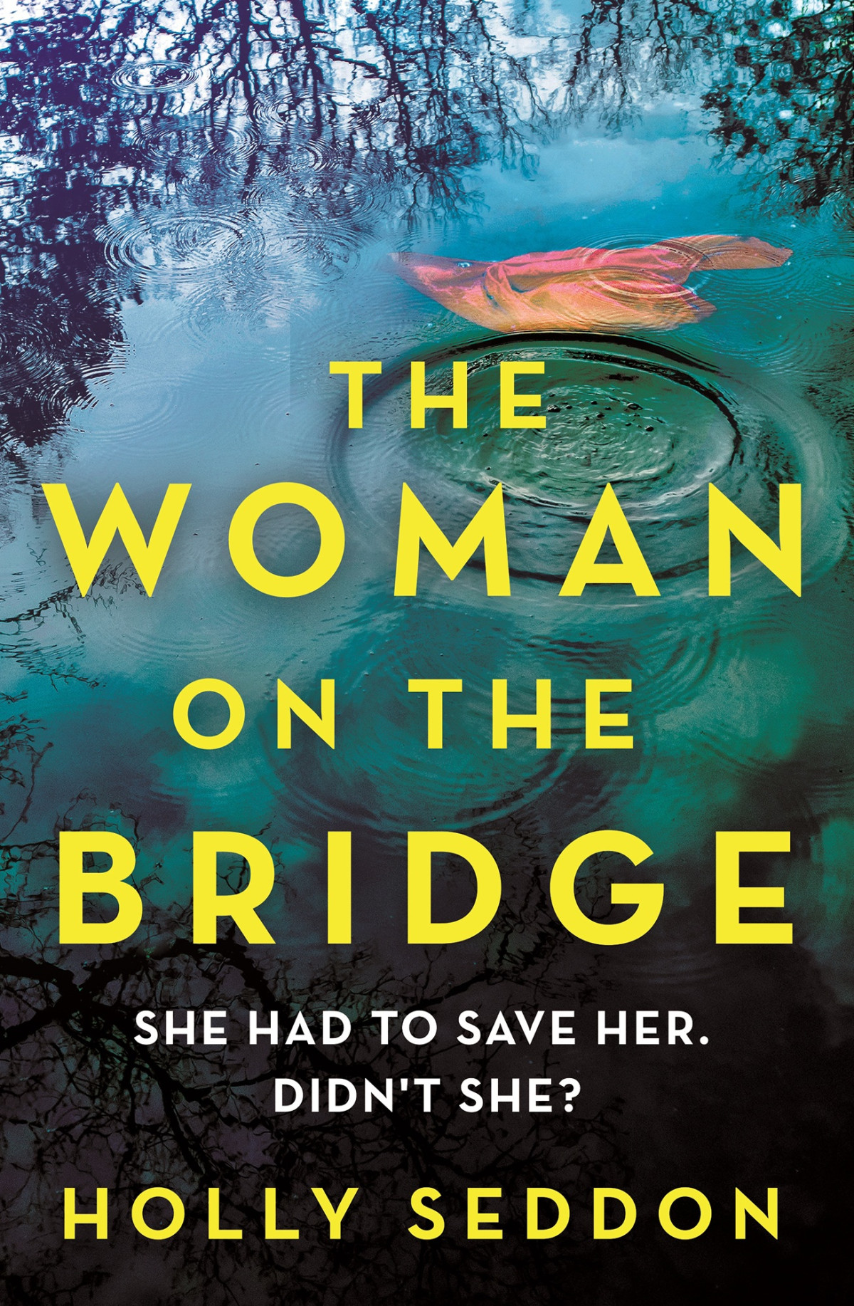 The Woman On The Bridge Holly Seddon