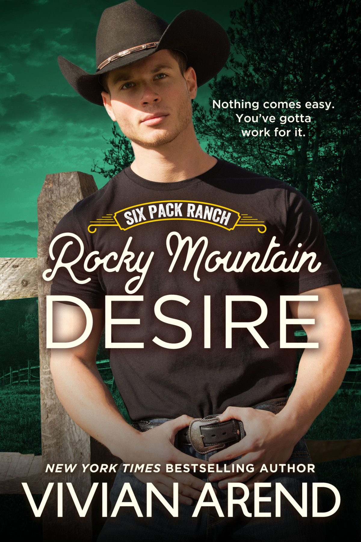 Rocky Mountain Desire Rocky Mountain House Book 3 Arend Vivian