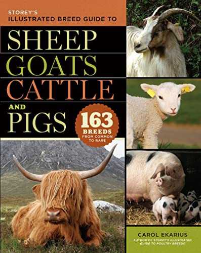 Storeys Illustrated Breed Guide To Sheep Goats Cattle And Pigs Illustrated Carol Ekarius