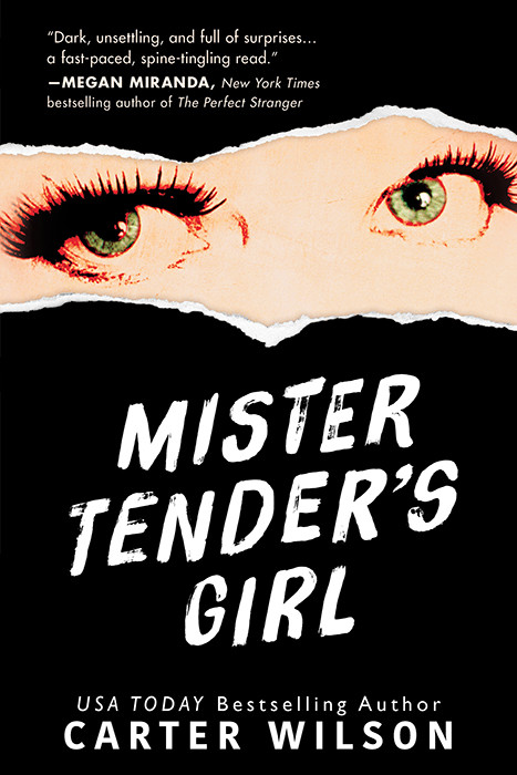 Mister Tenders Girl A Novel Carter Wilson