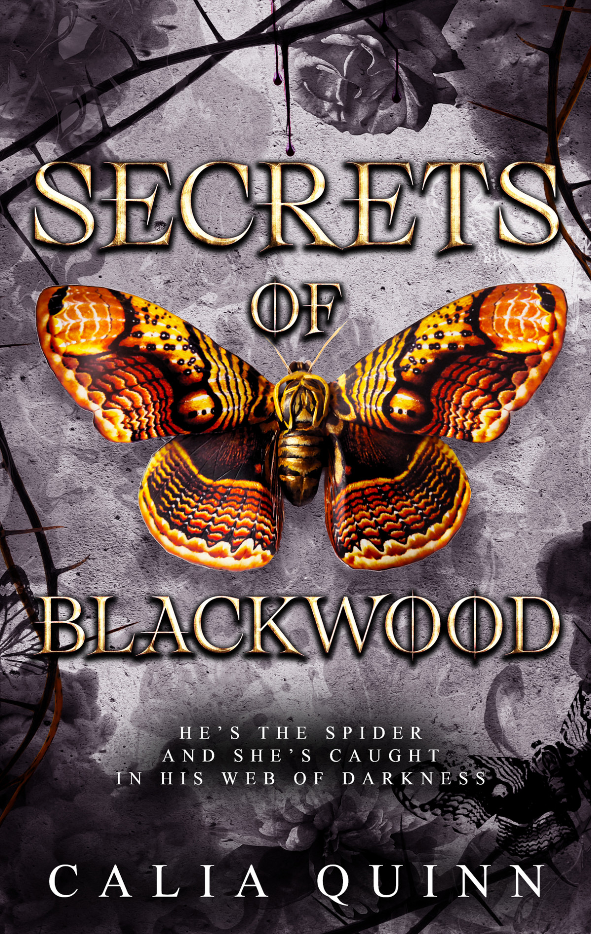 Secrets Of Blackwood A Dark Academia Romance Calia Quinn