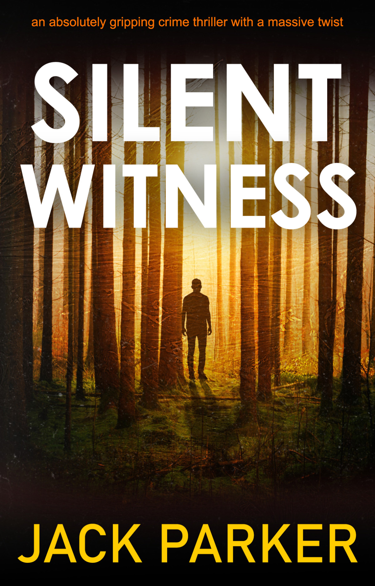 Silent Witness An Absolutely Gripping Crime Thriller With A Massive Twist Jack Parker