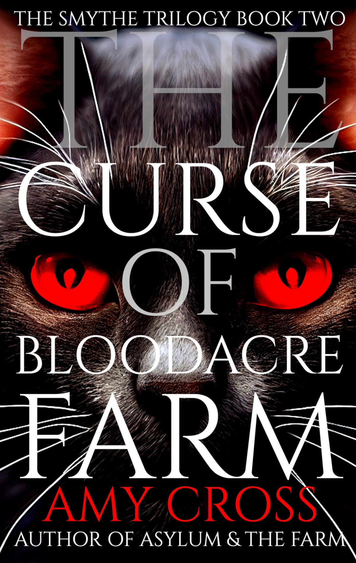 The Curse Of Bloodacre Farm The Smythe Trilogy Book 2 Amy Cross