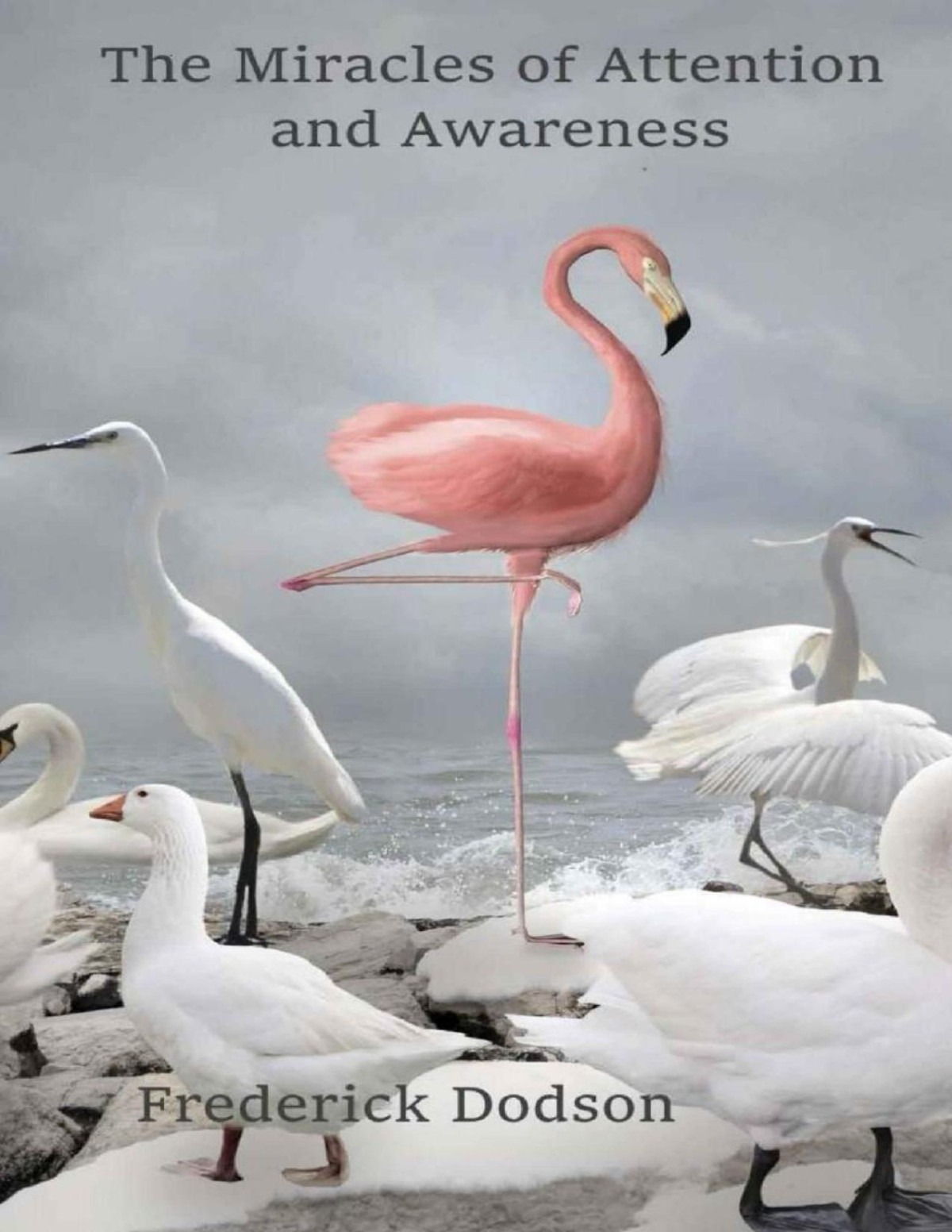 The Miracles Of Attention And Awareness Frederick Dodson