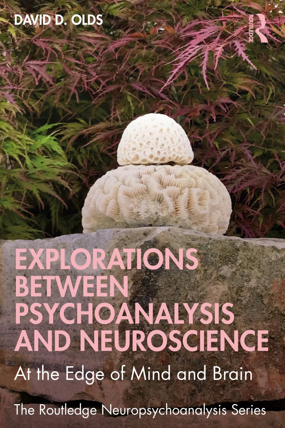Explorations Between Psychoanalysis And Neuroscience At The Edge Of Mind And Brain First Edition David D Olds