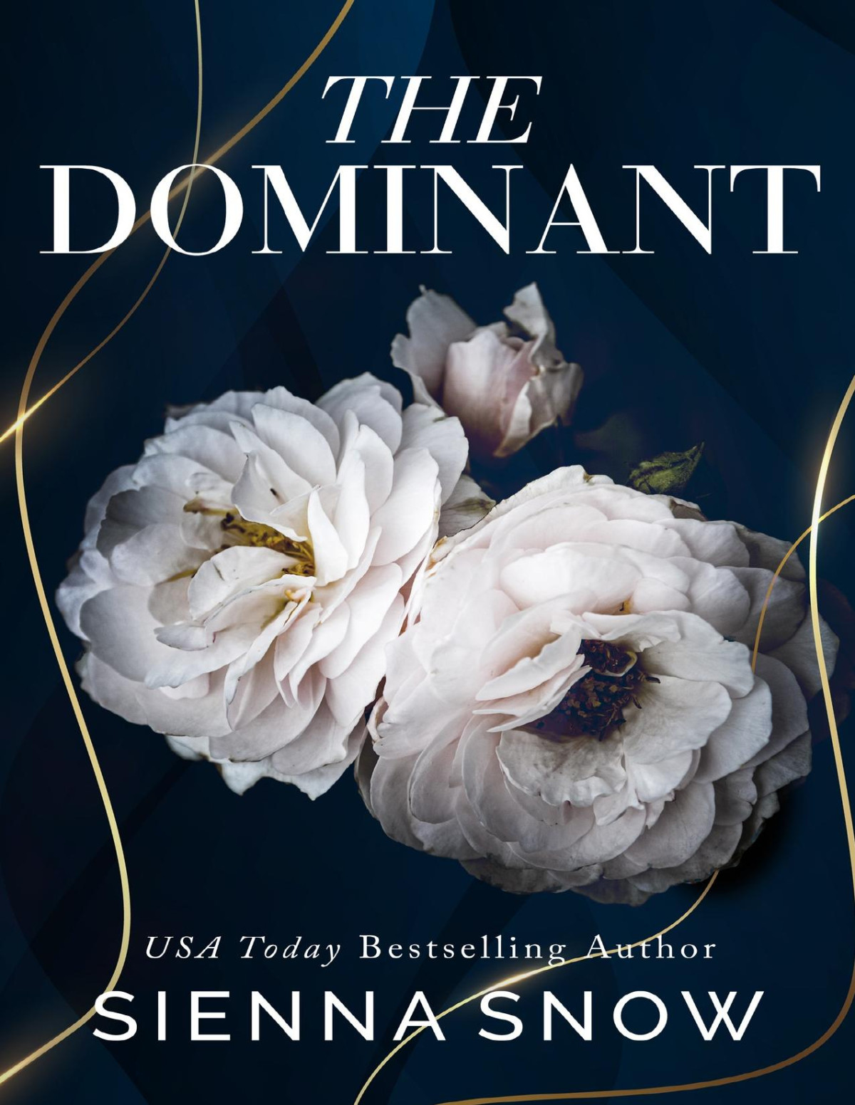 The Dominant A Brothers Best Friend Complete Series Sienna Snow