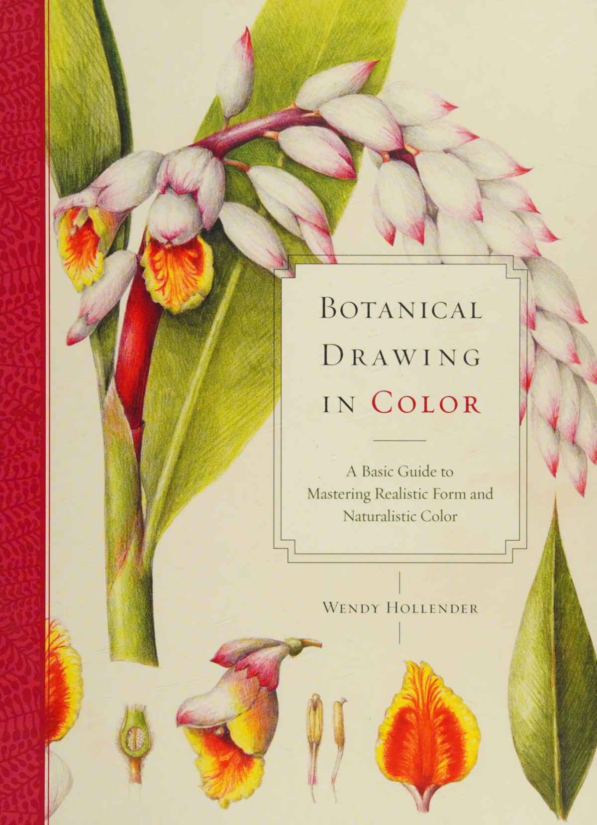 Botanical Drawing In Color A Basic Guide To Mastering Realistic Form And Naturalistic Color Wendy Hollender
