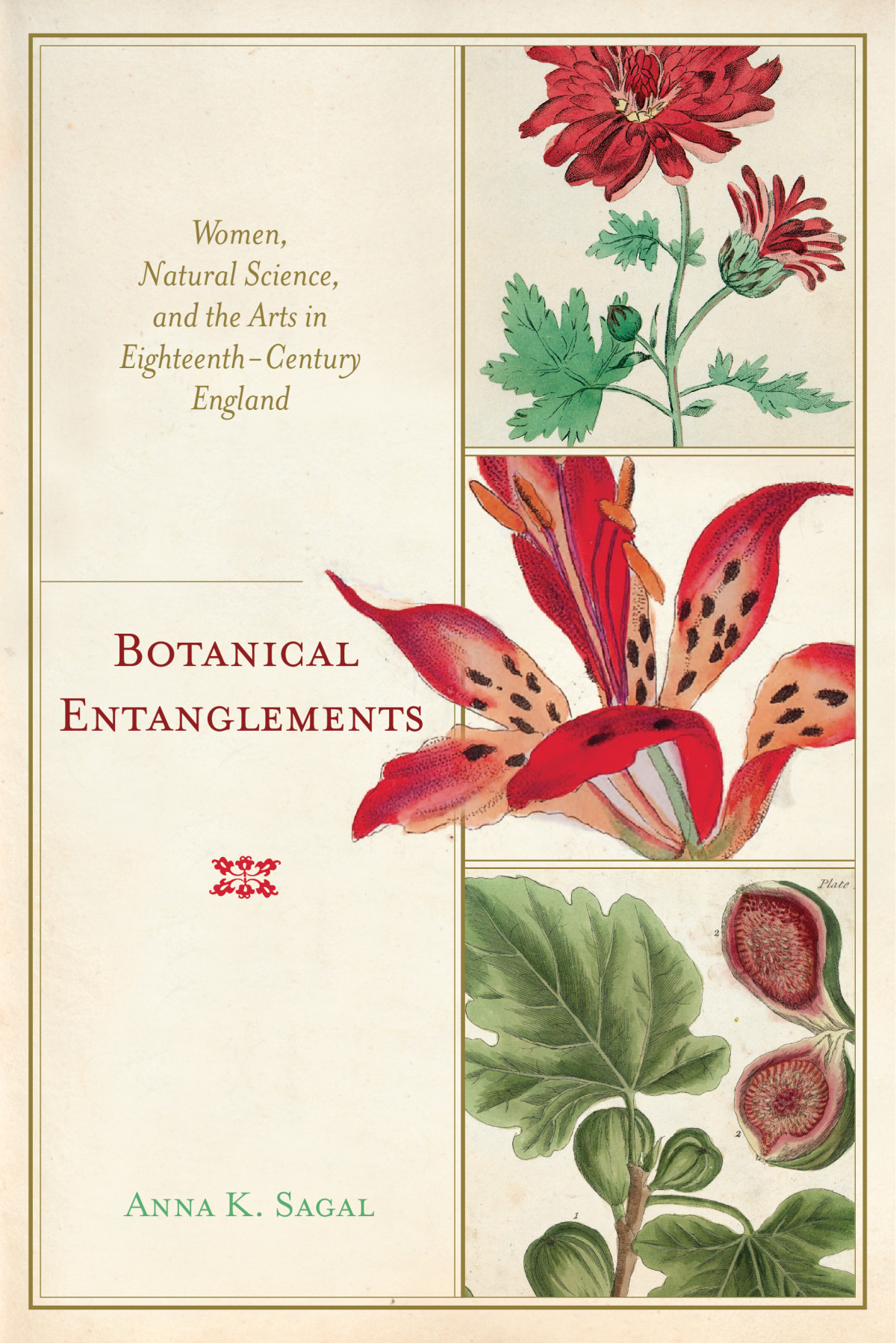 Botanical Entanglements Women Natural Science And The Arts In Eighteenthcentury England Anna K Sagal