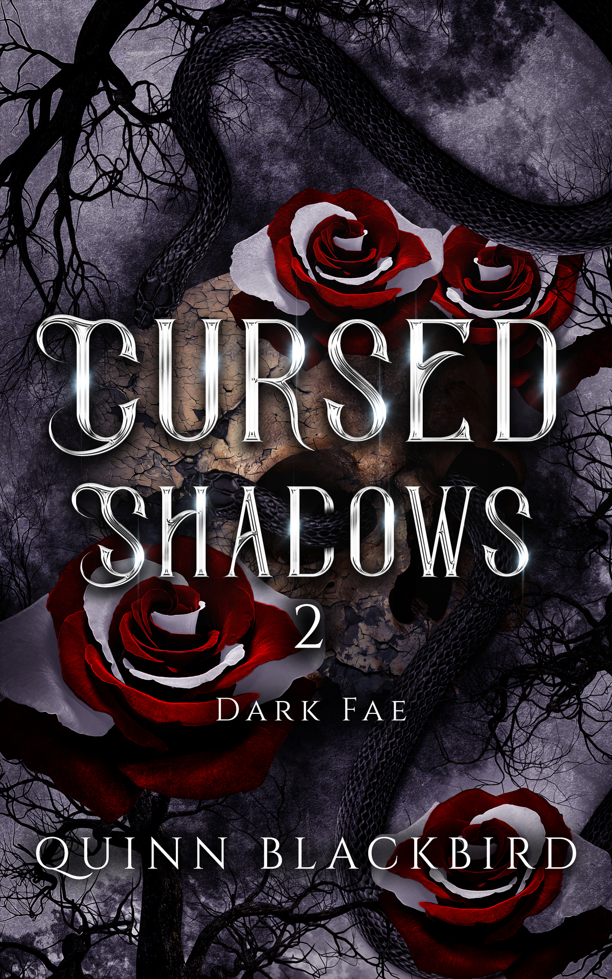 Cursed Shadows 2 The Dark Fae Quinn Blackbird