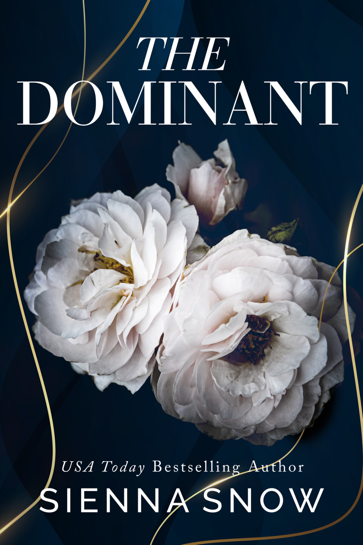 The Dominant A Brothers Best Friend Complete Series Sienna Snow