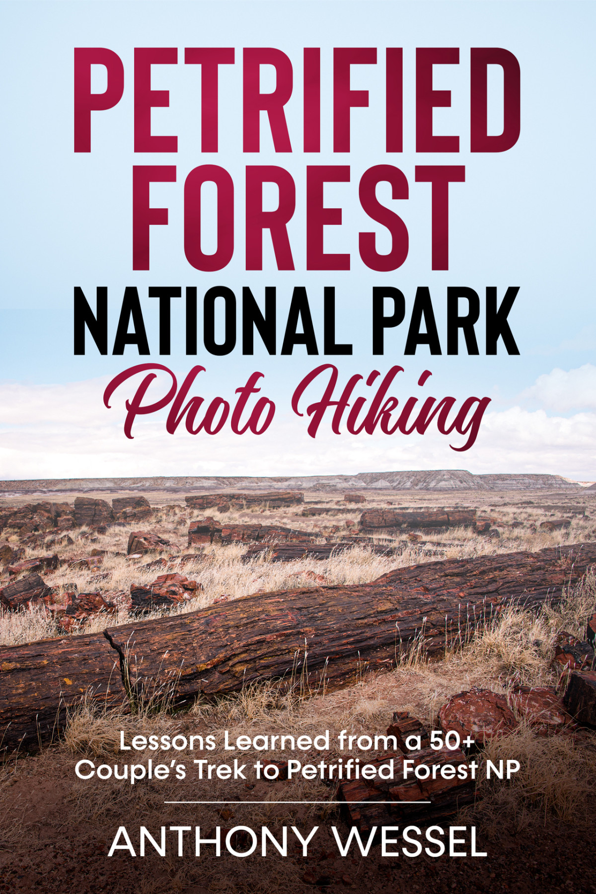 Petrified Forest National Park Photo Hiking Lessons Learned From A 50 Couples Trek To Petrified Forest Np National Parks Photo Hiking Series Wessel