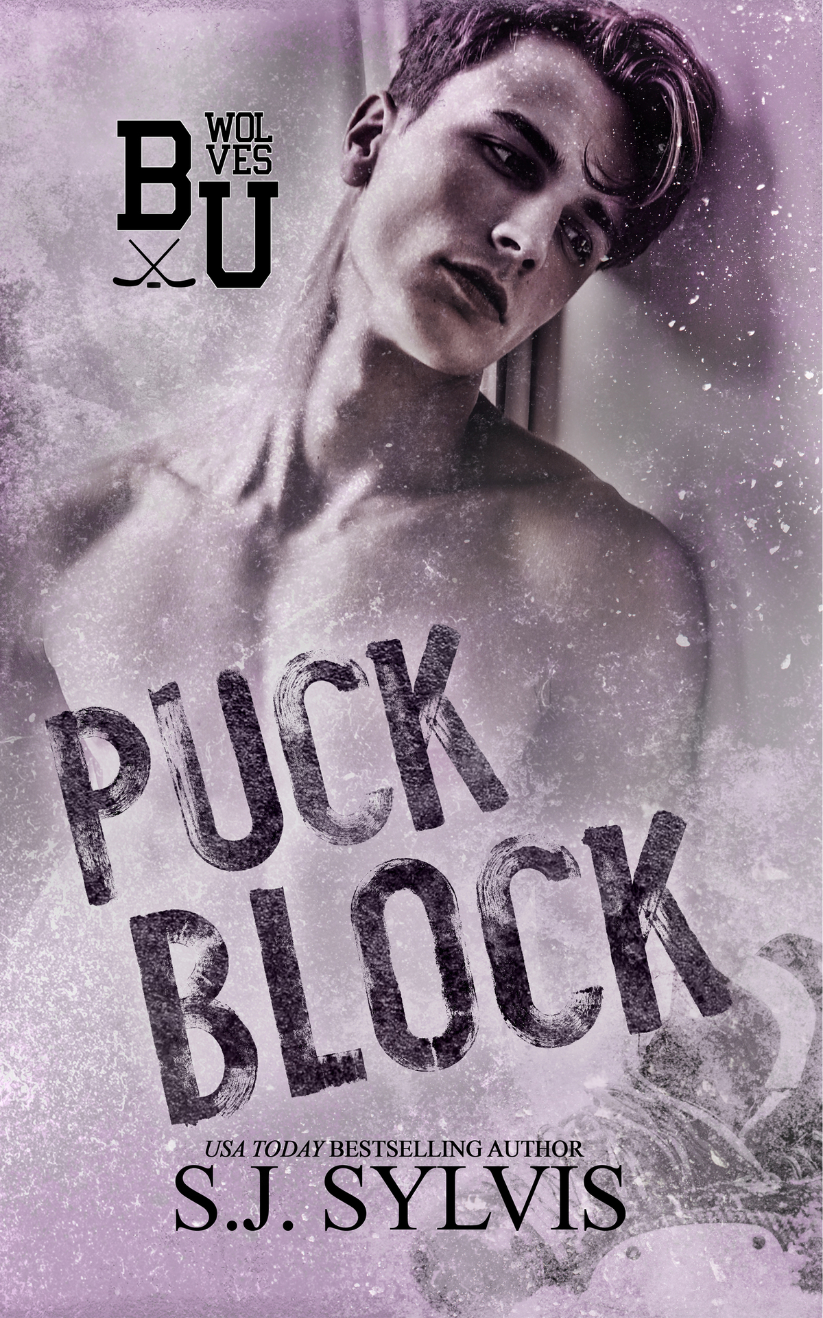 Puck Block A Brothers Best Friend Hockey Romance S J Sylvis