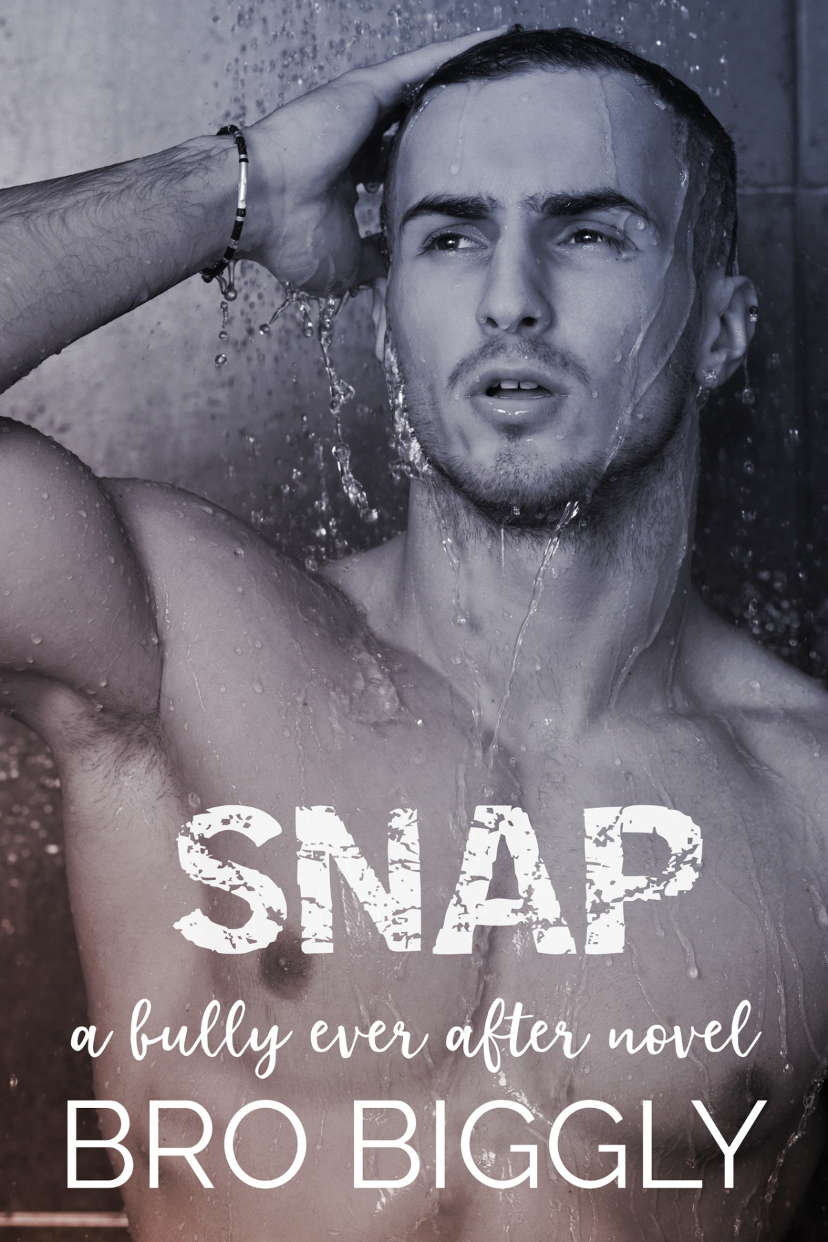 Snap A Bully Ever After Novel Bro Biggly