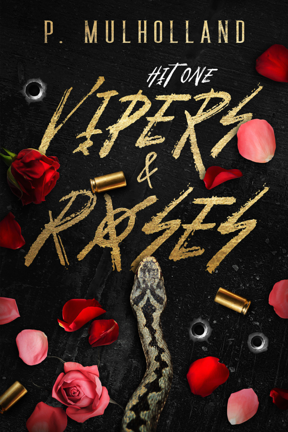 Vipers Roses A Dark College Why Choose Romance P Mulholland