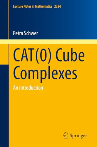 Cat0 Cube Complexes An Introduction 1st Edition Petra Schwer