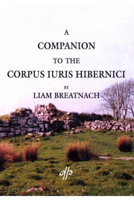 A Companion To The Corpus Iuris Hibernici 1st Edition Liam Breatnach
