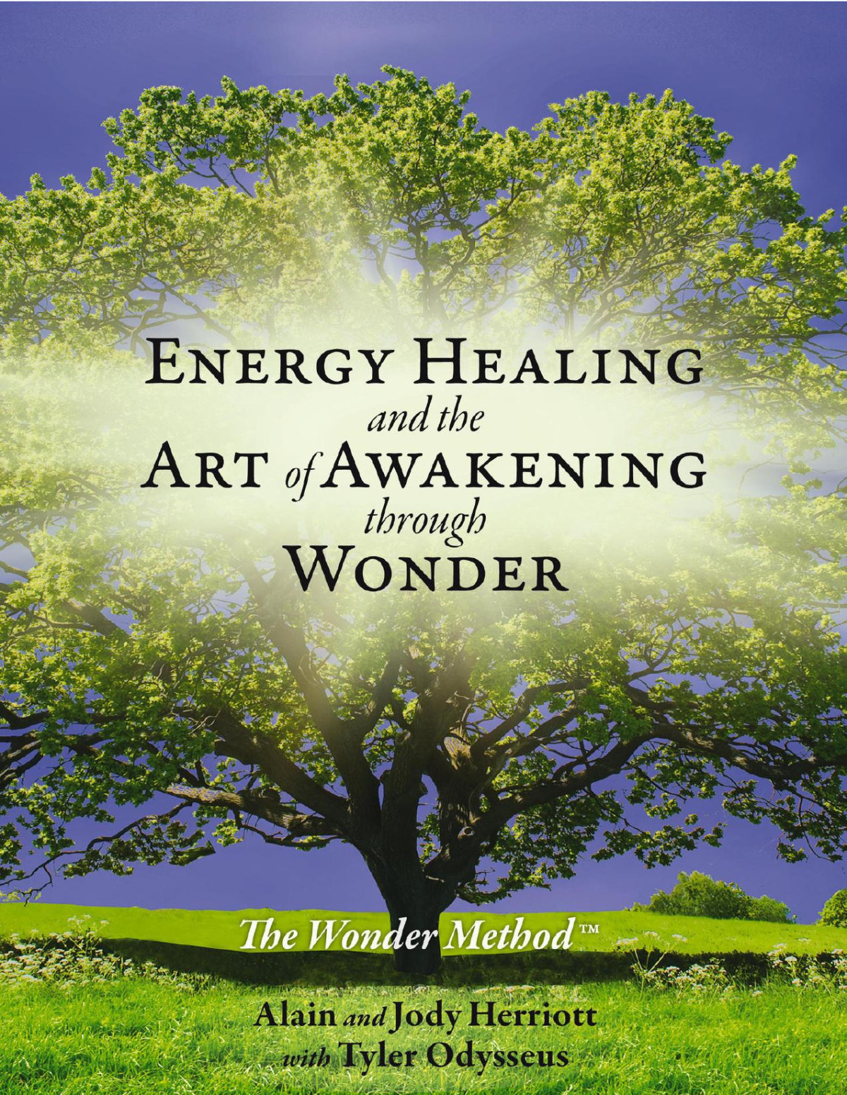 Energy Healing And The Art Of Awakening Through Wonder Odysseus